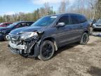 2019 HONDA PILOT EXL for sale at Copart ON - COOKSTOWN