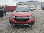 2020 Honda Cr-V Lx იყიდება Cahokia Heights-ში, IL - Hail