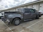 2014 Ford F150 Supercrew en Venta en Louisville, KY - All Over