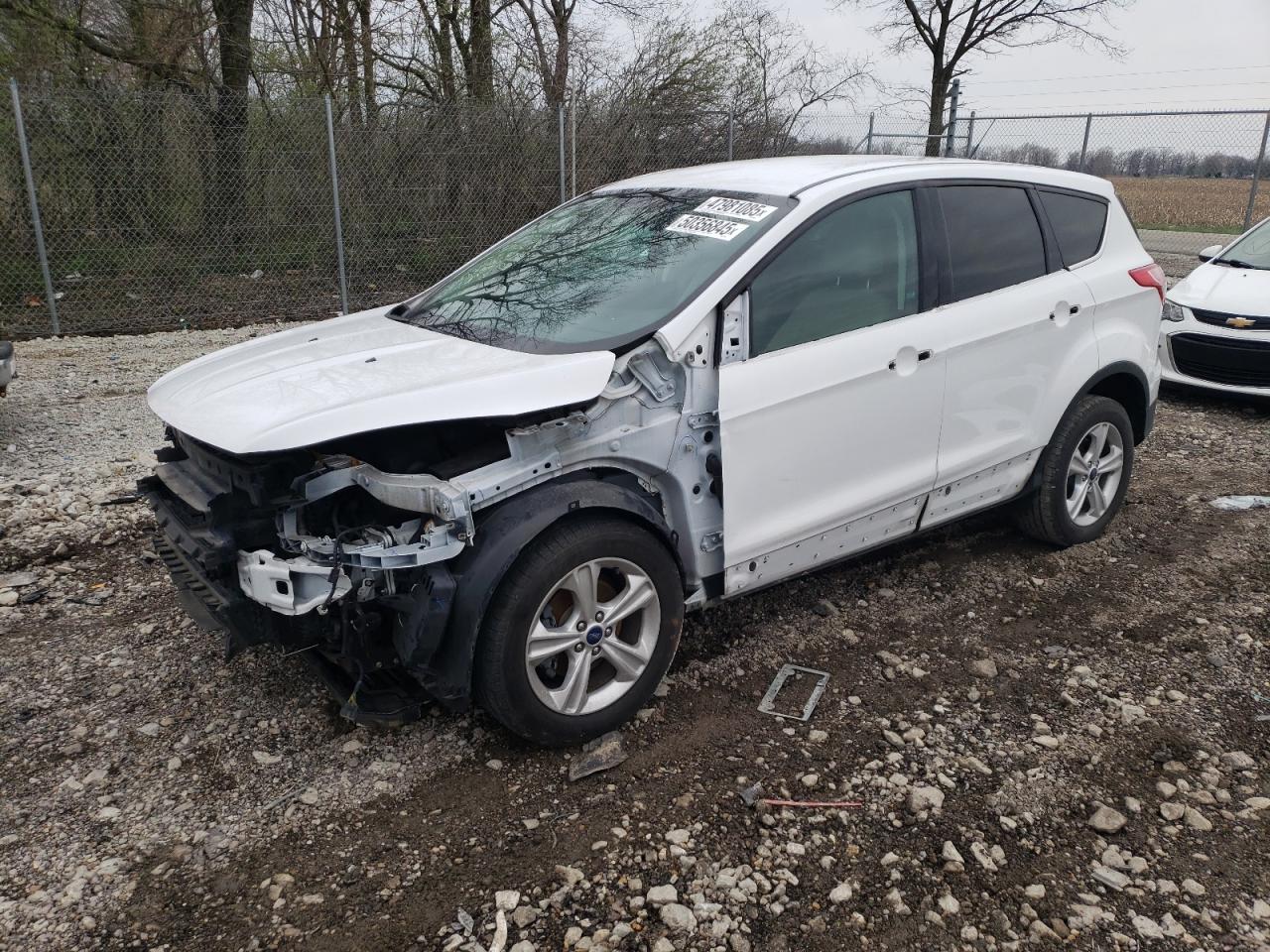 2014 Ford Escape Se for Sale in Cicero, IN - Front End