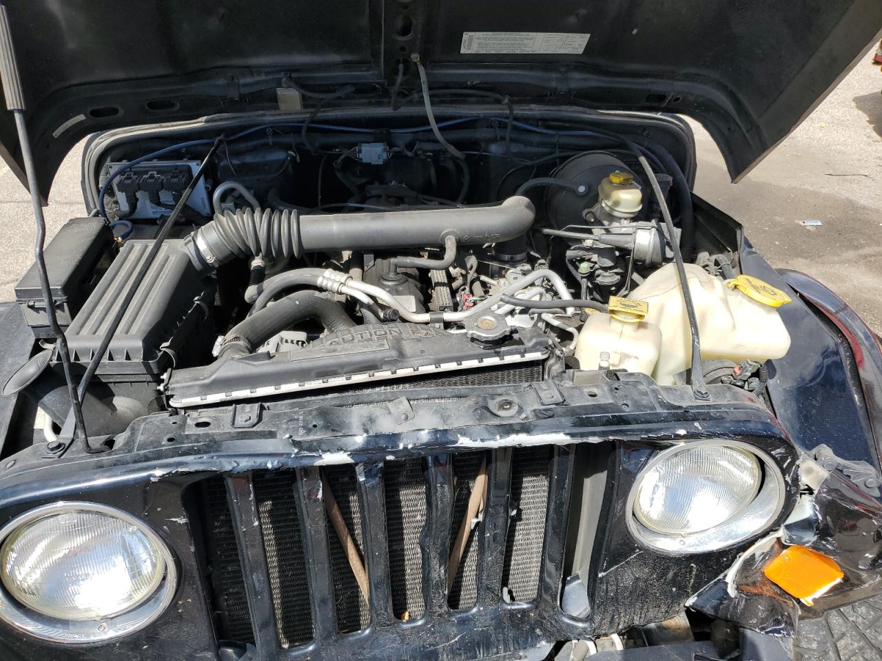 2004 Jeep Wrangler / Tj Sahara VIN: 1J4FA59S94P718341 Lot: 55093935