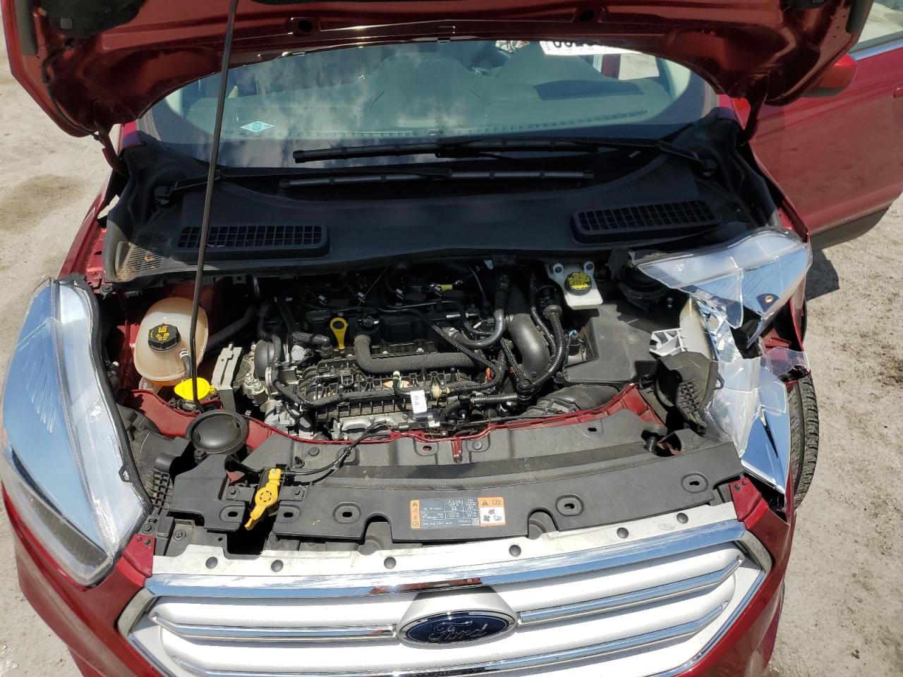 2019 Ford Escape Se VIN: 1FMCU0GD6KUA12106 Lot: 55255995