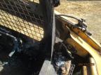 2008 Caterillar 272C for Sale in Greenwood, NE - All Over
