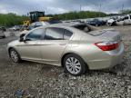 2014 Honda Accord Exl на продаже в Louisville, KY - Hail
