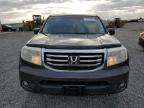 2012 Honda Pilot Exl للبيع في Earlington، KY - Hail