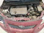 2010 Toyota Corolla Base en Venta en New Braunfels, TX - All Over