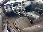 2014 Ford Mustang  for Sale in Grand Prairie, TX - Rear End