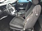 2019 Ford Mustang  for Sale in Houston, TX - All Over