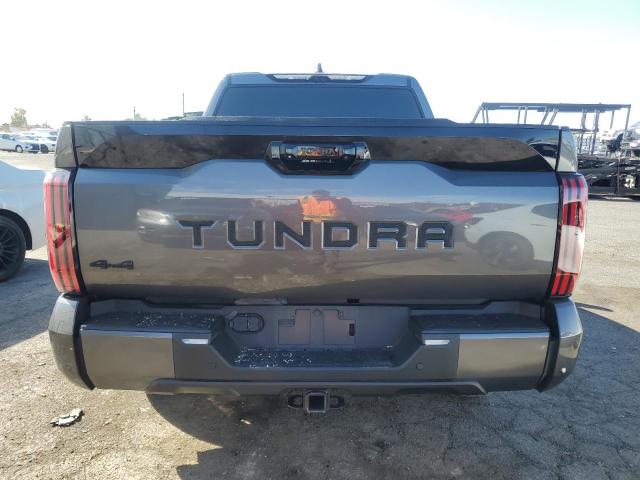  TOYOTA TUNDRA 2024 Gray