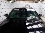 2014 AUDI Q3 S LINE for sale at Copart BELFAST