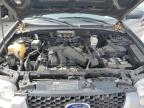 2007 Ford Escape Limited for Sale in Walton, KY - Mechanical
