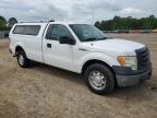 2011 Ford F150  na sprzedaż w Conway, AR - Water/Flood