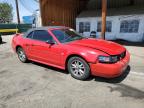 2004 Ford Mustang  for Sale in Denver, CO - Front End