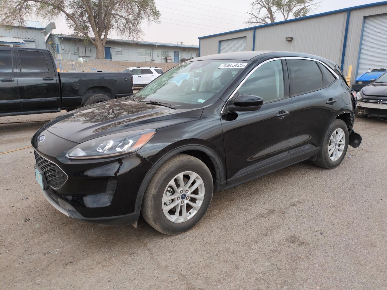 2021 Ford Escape Se for Sale in Albuquerque, NM - Rear End