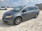 2012 Honda Odyssey Exl en Venta en Taylor, TX - Hail