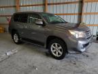 2010 Lexus Gx 460 for Sale in Lawrenceburg, KY - Front End