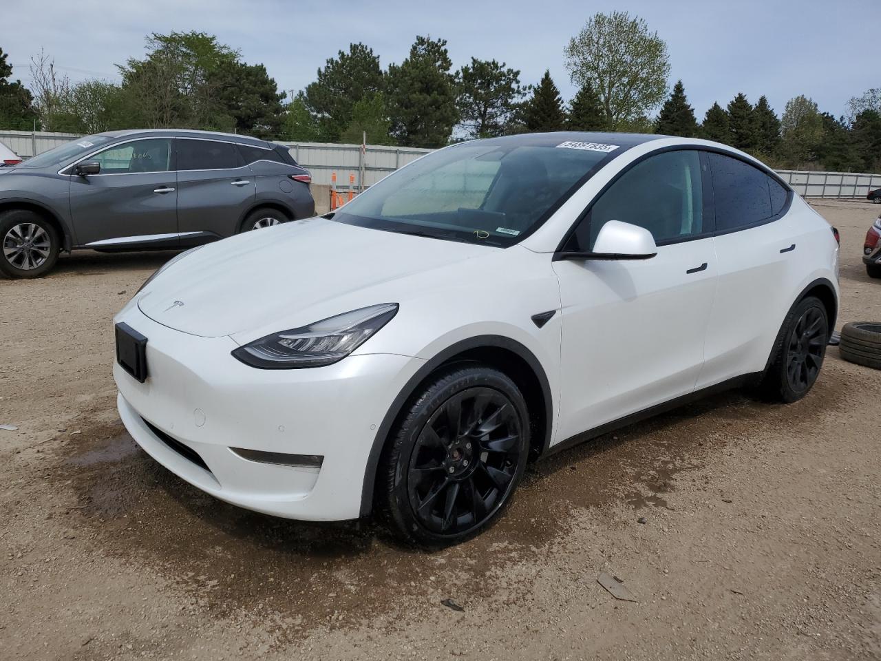 2021 Tesla Model Y на продаже в Elgin, IL - Minor Dent/Scratches