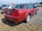 Ottawa, ON에서 판매 중인 2006 Ford Mustang  - Minor Dent/Scratches