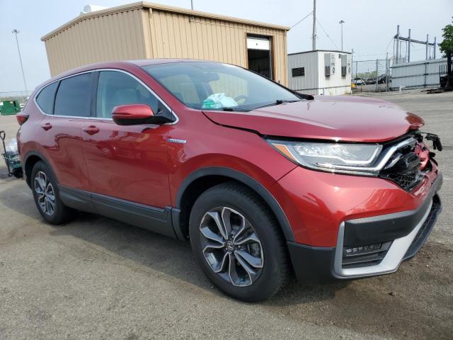  HONDA CRV 2022 Червоний
