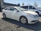2014 Hyundai Sonata Gls de vânzare în Eugene, OR - Rear End