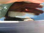2009 Ford Focus Sel for Sale in Cookstown, ON - Front End