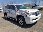 2011 Lexus Gx 460 на продаже в Marlboro, NY - Side