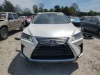 2017 Lexus Rx 350 Base for Sale in Madisonville, TN - Rear End