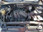 2007 Ford Escape Xlt zu verkaufen in Bridgeton, MO - Hail