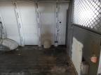 Phoenix, AZ에서 판매 중인 2007 Chevrolet Express G1500  - Minor Dent/Scratches