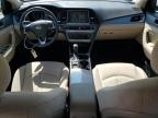 Louisville, KY에서 판매 중인 2019 Hyundai Sonata Limited   - Front End