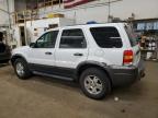 2006 Ford Escape Xlt na sprzedaż w Ham Lake, MN - Front End