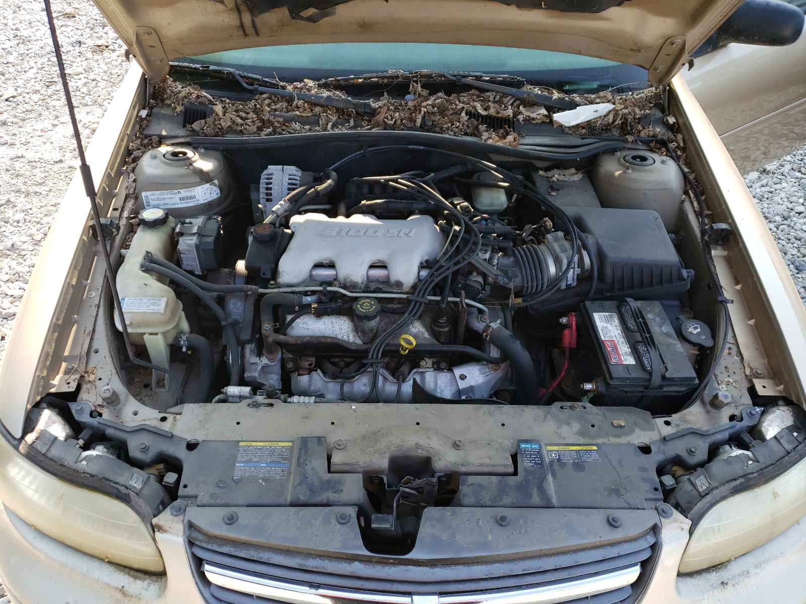 1G1ND52J92M507660 2002 Chevrolet Malibu
