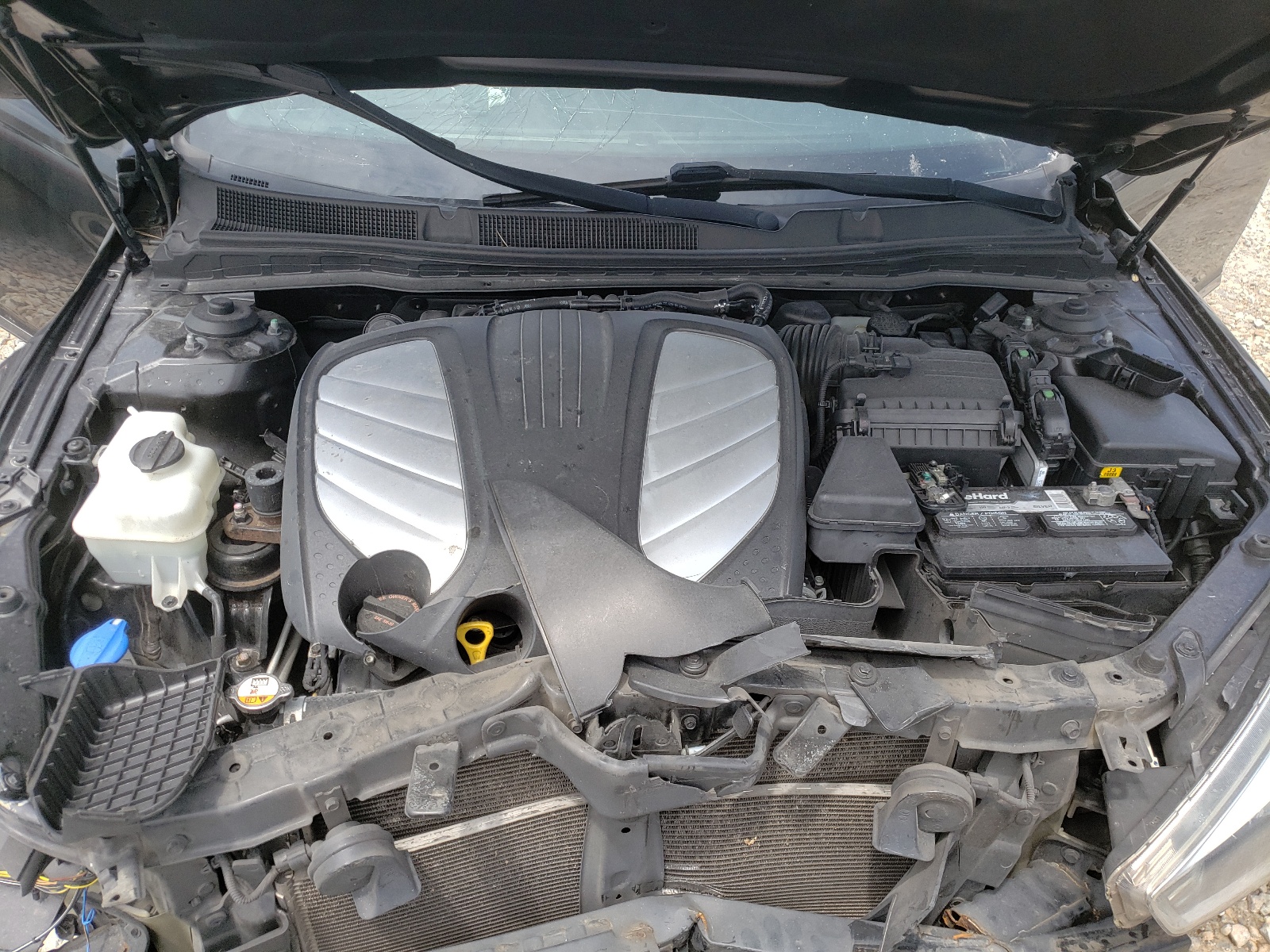 KNALN4D78F5181743 2015 Kia Cadenza Premium