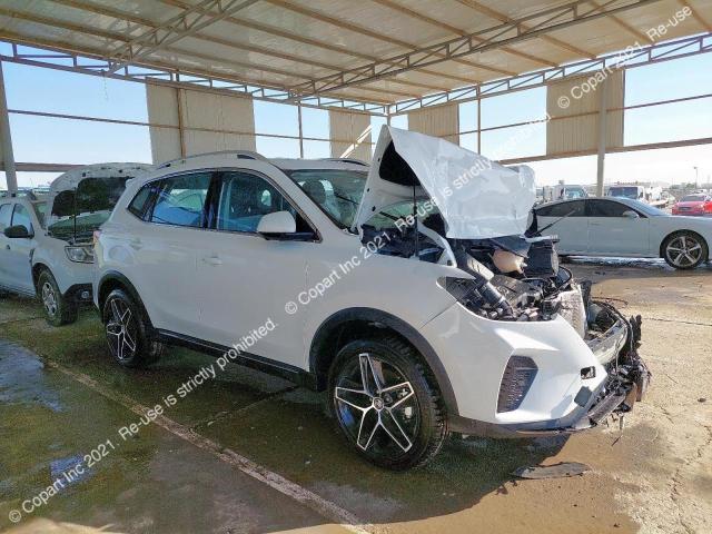LSJA24U95PS013175 - 2023 LEXUS RX 500H F - #undefined