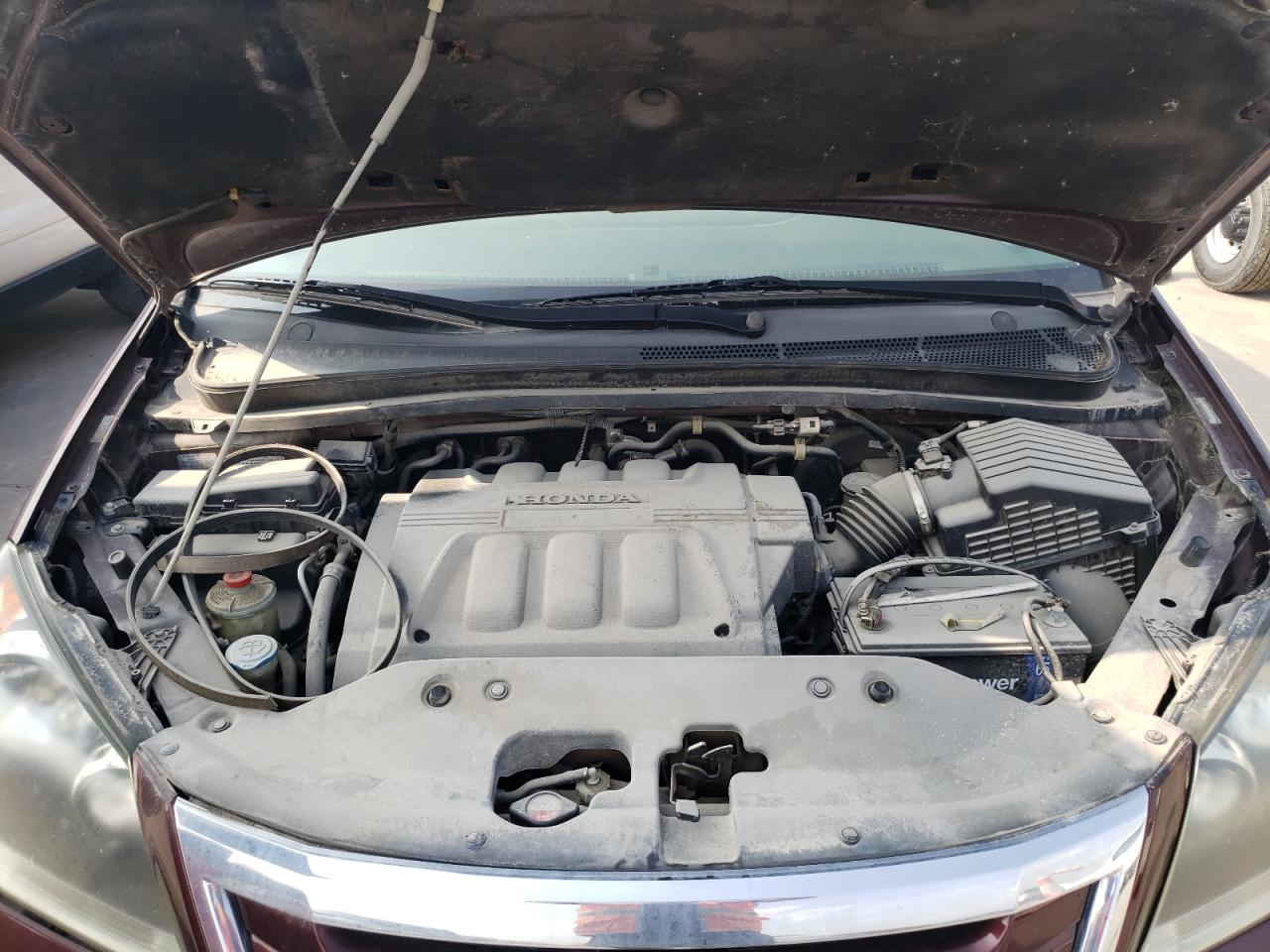 2009 Honda Odyssey Exl VIN: 5FNRL38709B410071 Lot: 56406604