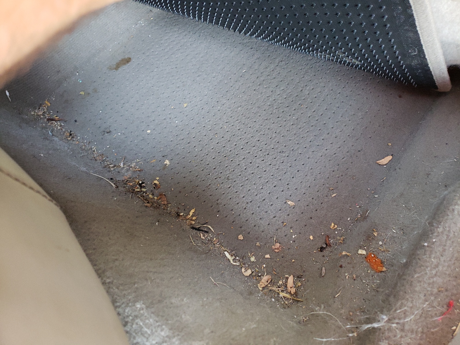 1FAHP2EW5AG128417 2010 Ford Taurus Sel