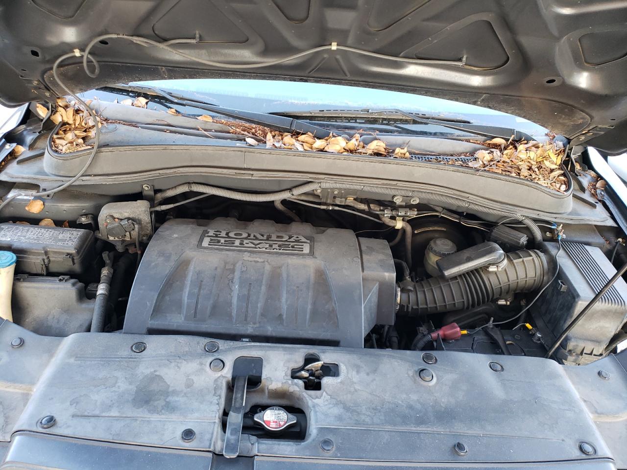 2006 Honda Pilot Ex VIN: 5FNYF28756B050353 Lot: 49971823