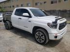 2020 Toyota Tundra Double Cab Sr/Sr5 за продажба в Opa Locka, FL - Rear End