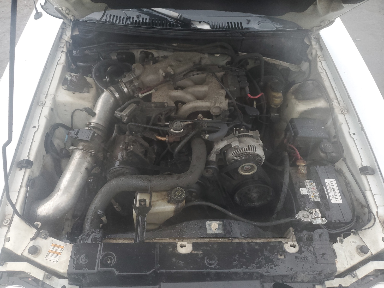 1FAFP4048XF191759 1999 Ford Mustang