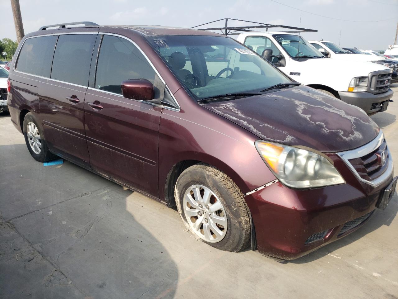 2009 Honda Odyssey Exl VIN: 5FNRL38709B410071 Lot: 56406604