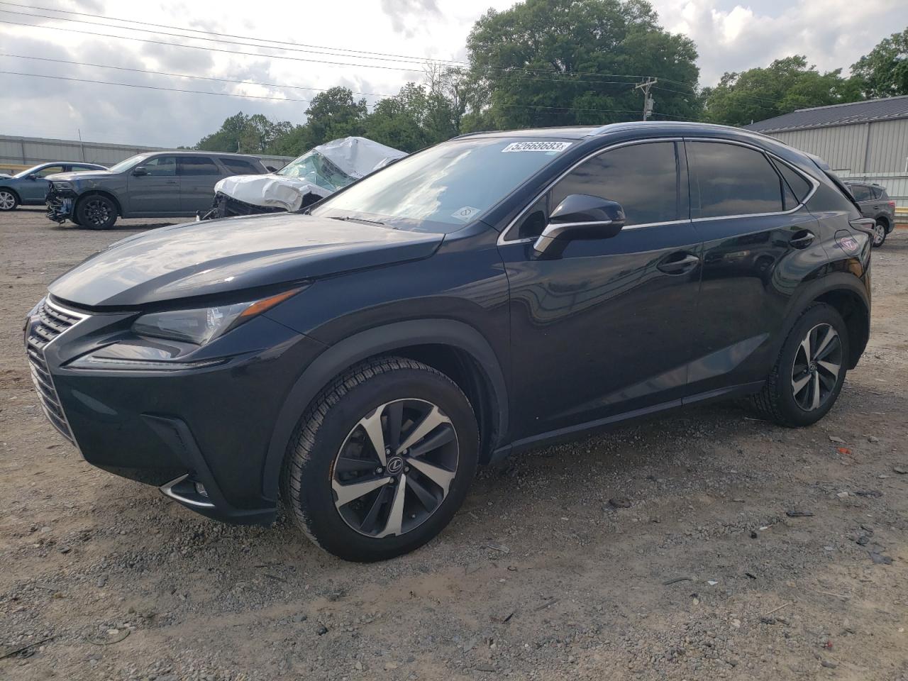 2019 Lexus Nx 300 Base VIN: JTJBARBZ5K2216775 Lot: 53714193