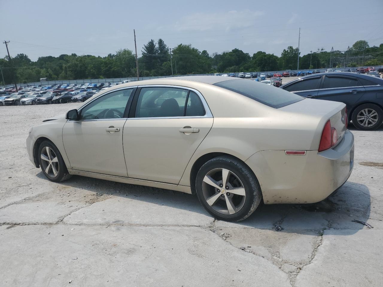 1G1ZC5EU7BF160313 2011 Chevrolet Malibu 1Lt