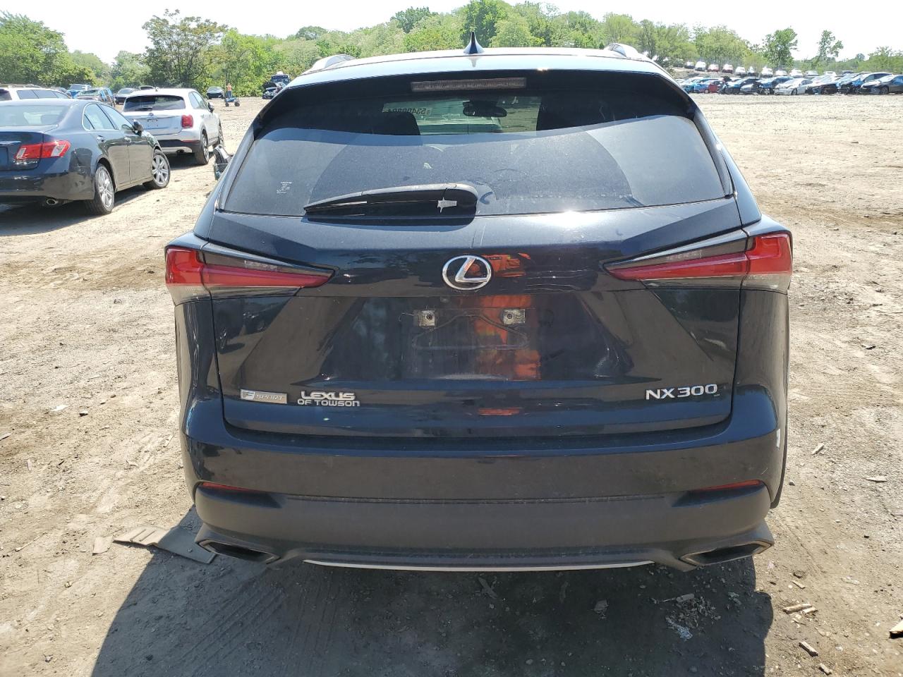 2020 Lexus Nx 300 F-Sport VIN: JTJSARDZ4L5010182 Lot: 53409894