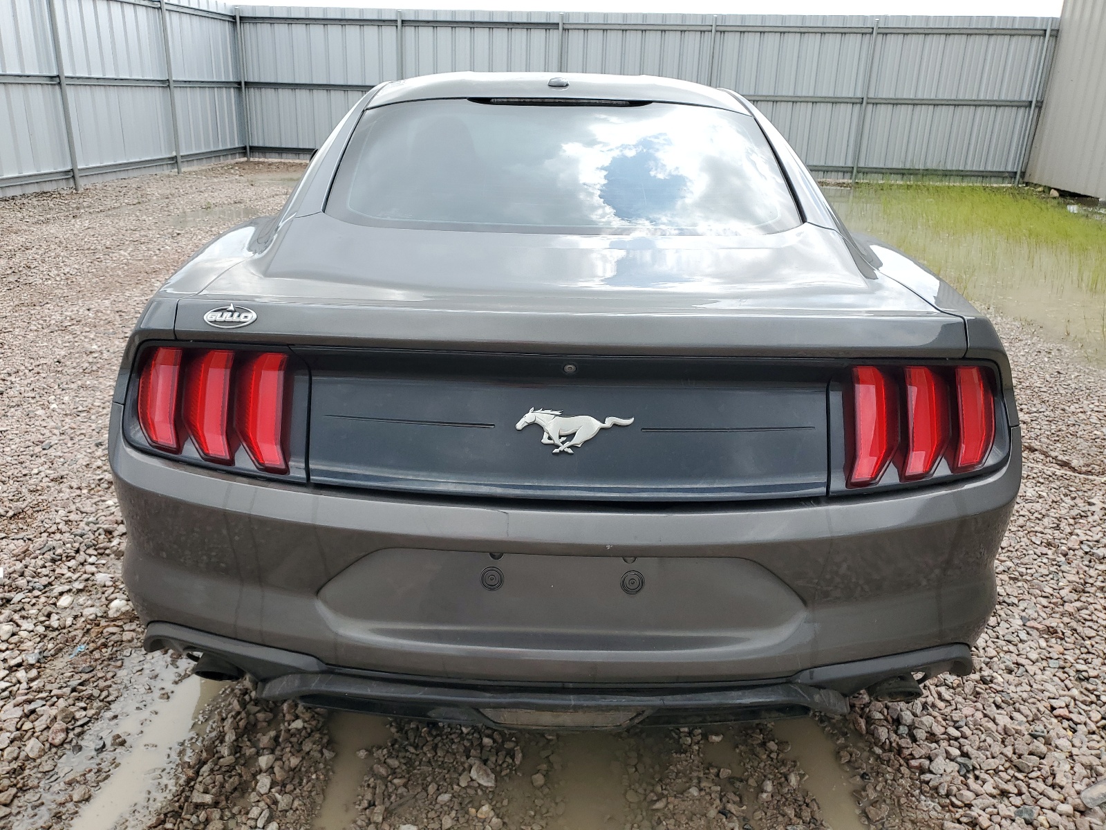 1FA6P8TH1K5174855 2019 Ford Mustang