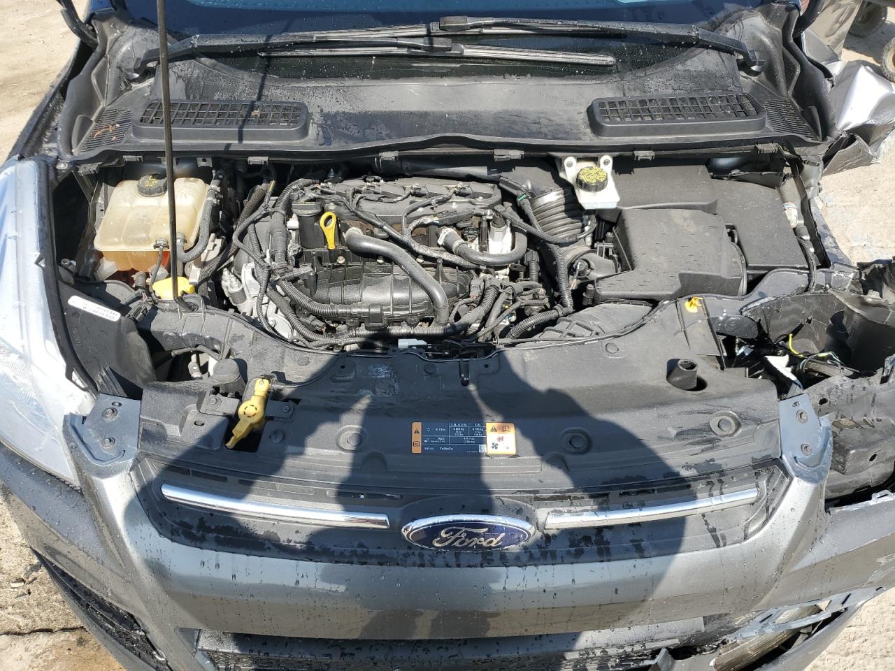 2014 Ford Escape Se VIN: 1FMCU0GX8EUB63981 Lot: 56347894