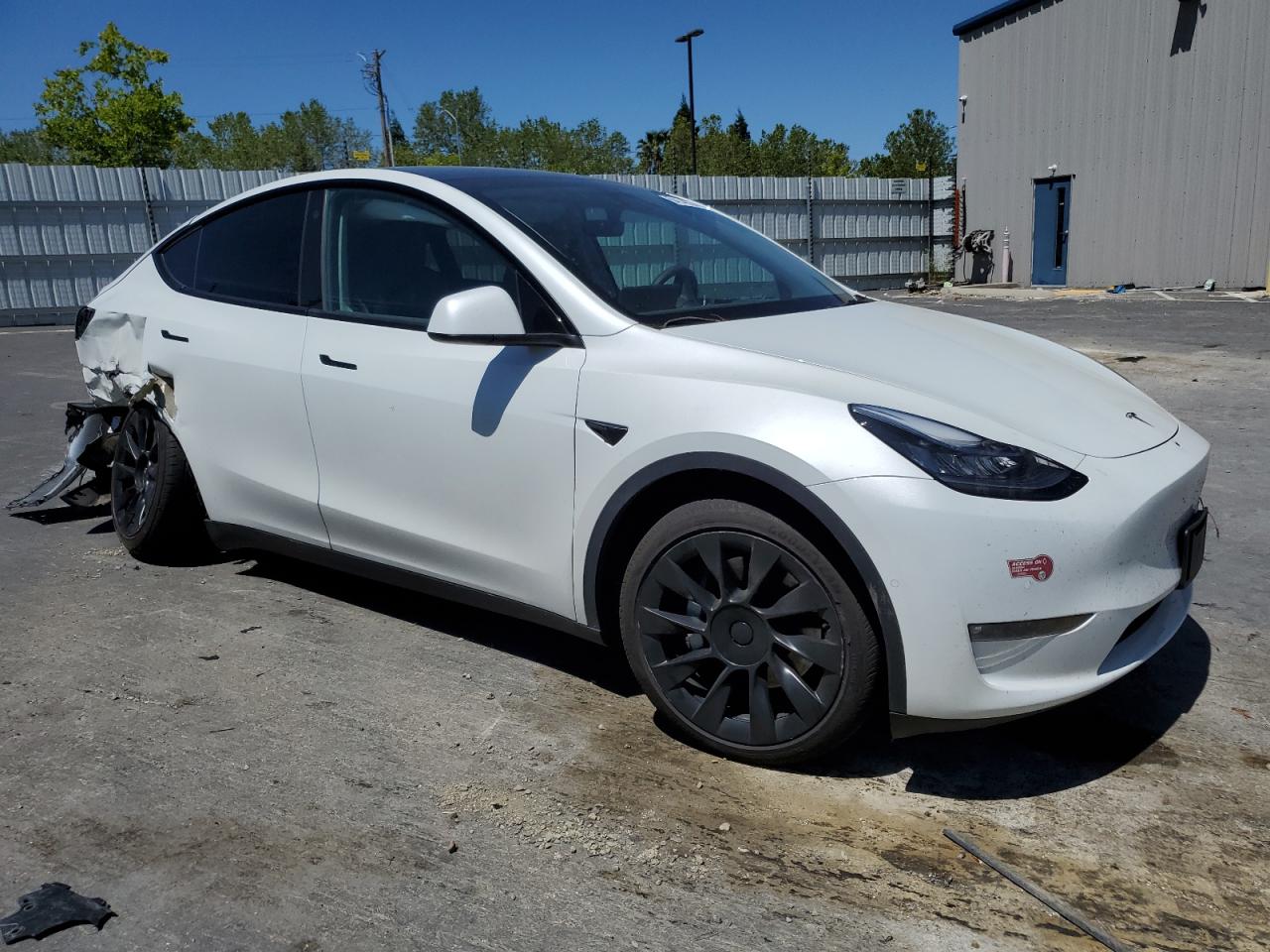 2022 Tesla Model Y VIN: 7SAYGAEE1NF489173 Lot: 54149274