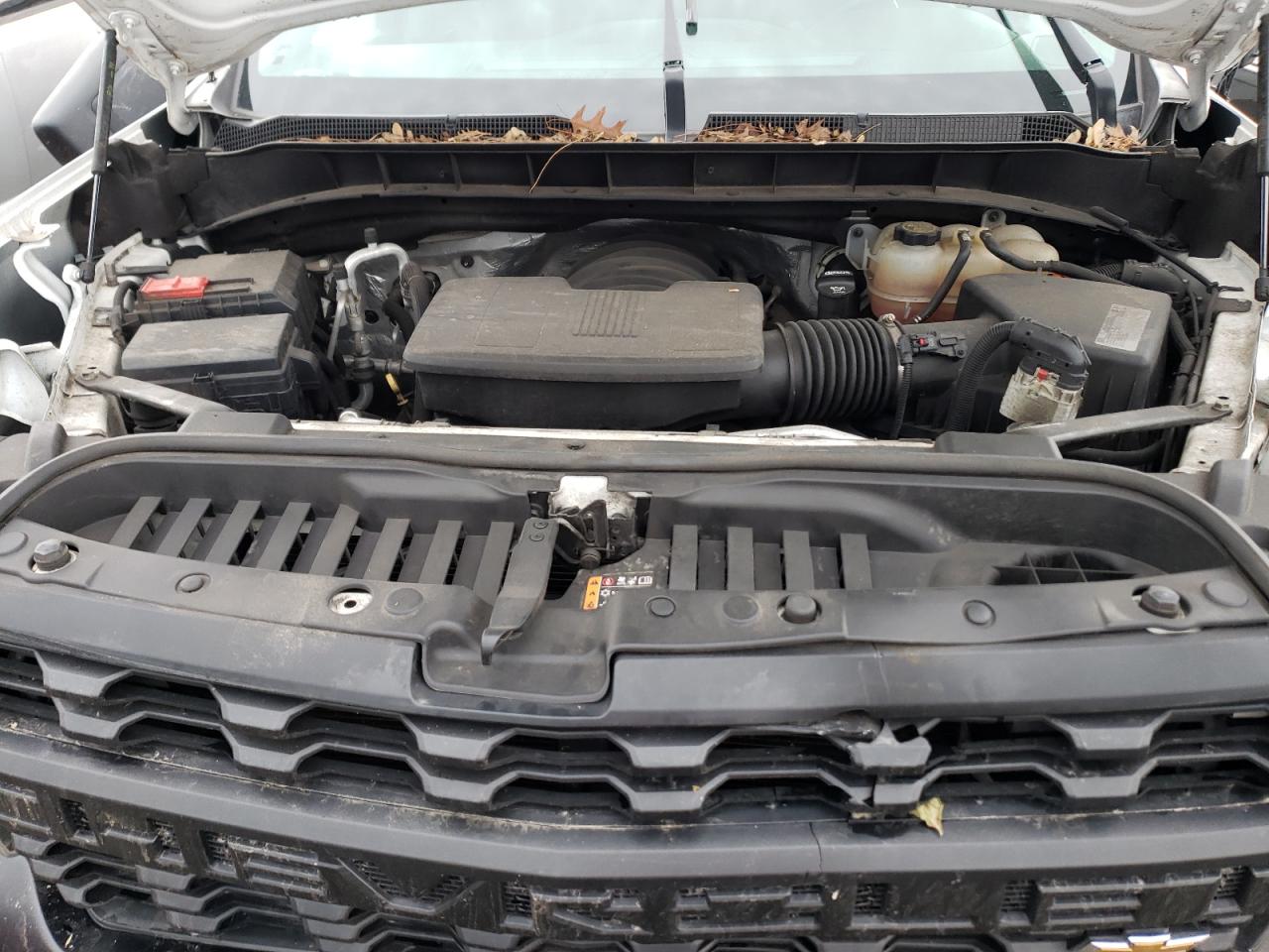 2020 Chevrolet Silverado K1500 VIN: 3GCUYAEF5LG313686 Lot: 55561354