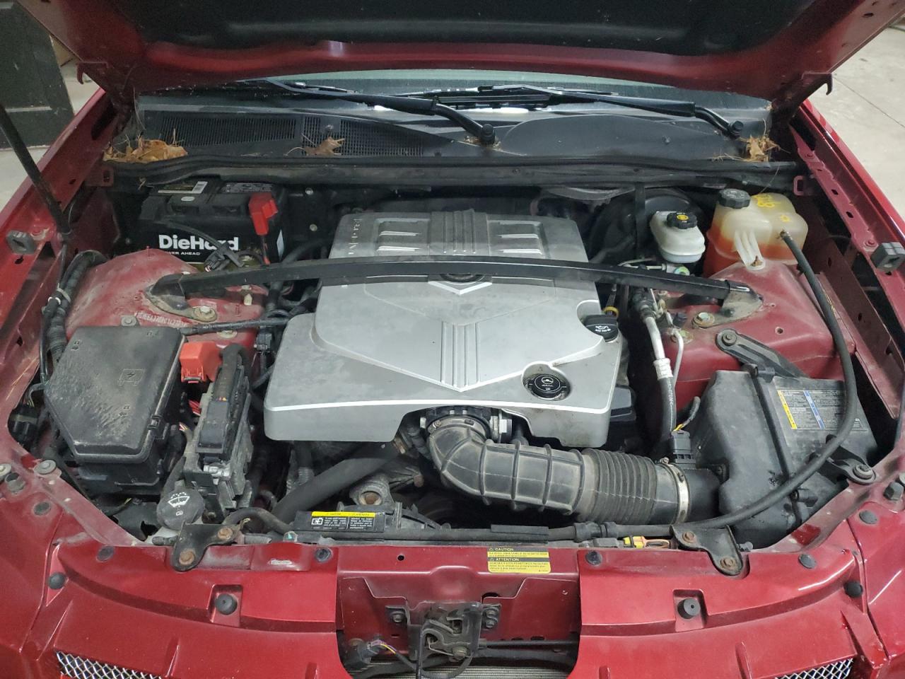 2008 Cadillac Srx VIN: 1GYEE437080142703 Lot: 55592444