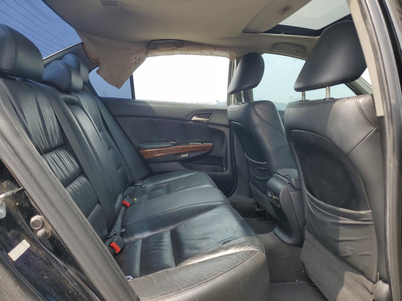 2011 Honda Accord Exl VIN: 1HGCP3F82BA002399 Lot: 53743204