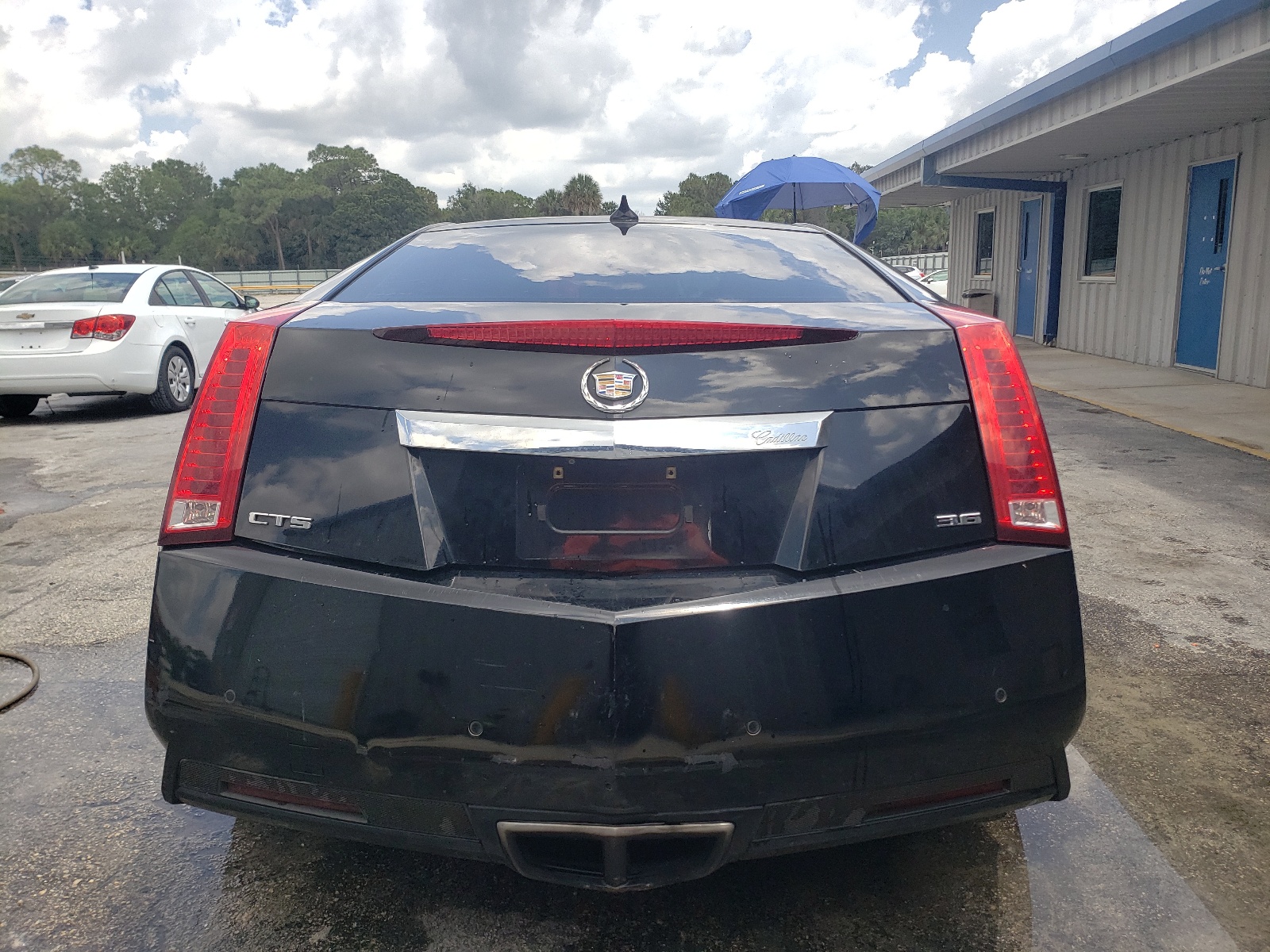 1G6DP1E31C0136490 2012 Cadillac Cts Premium Collection